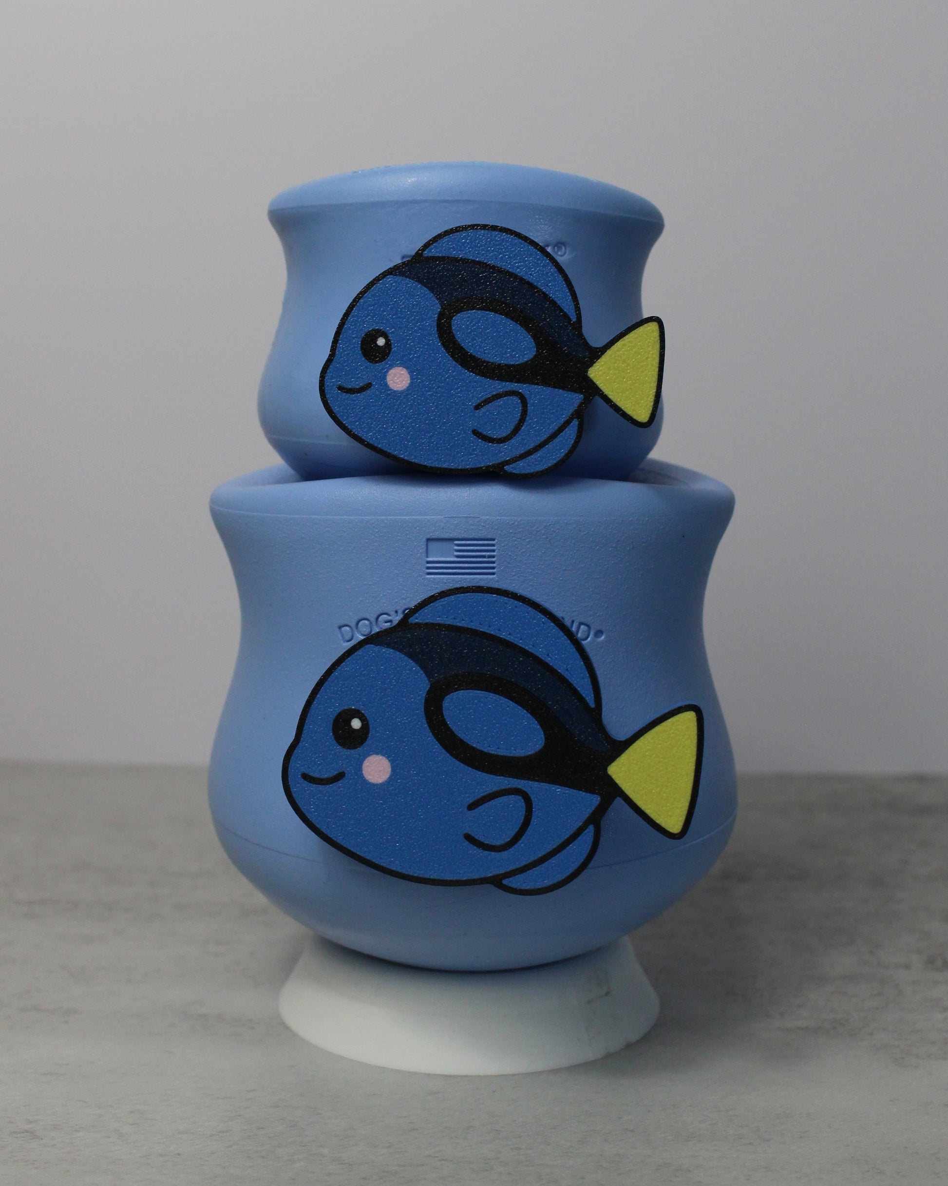Blue Tang