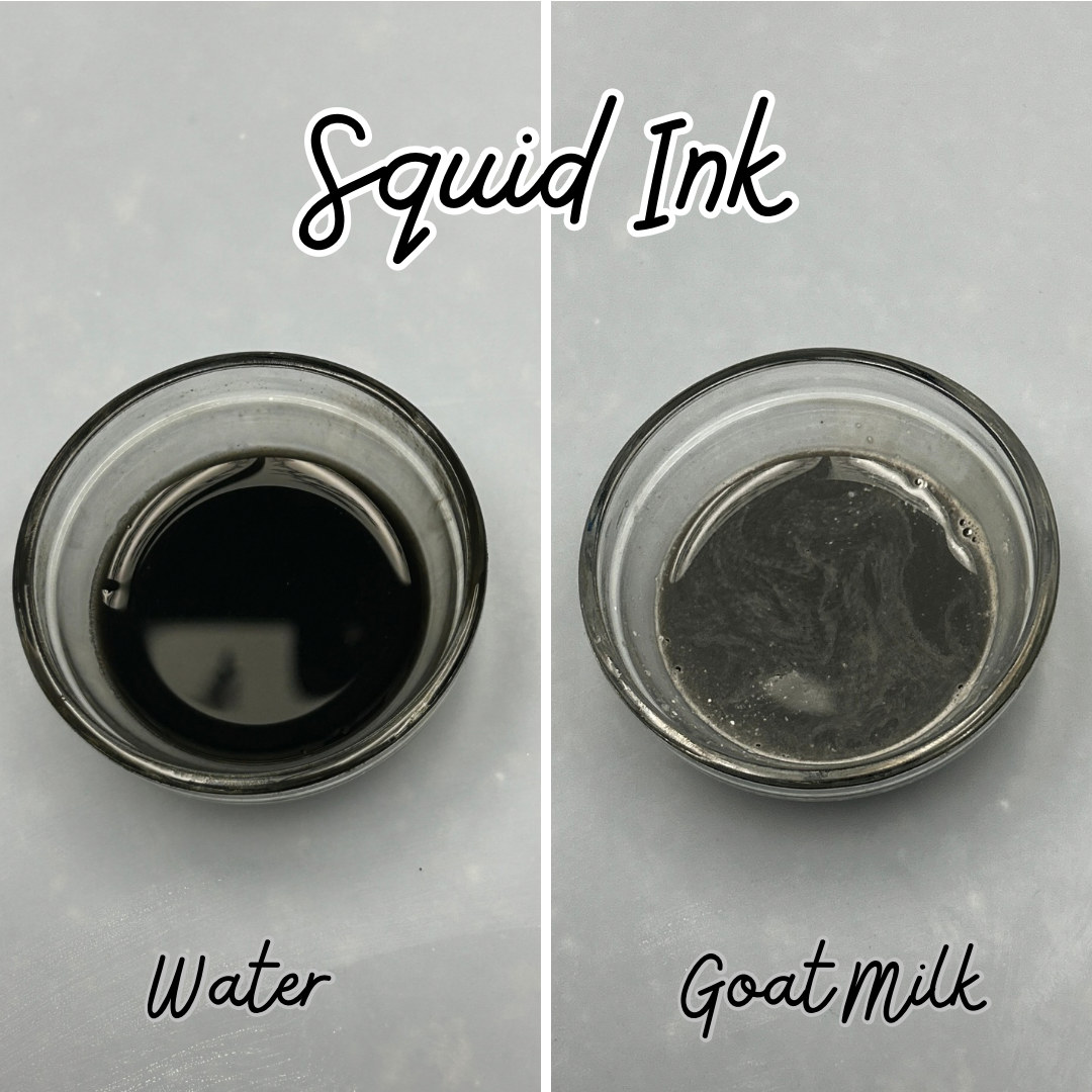 Black Squid Ink Powder