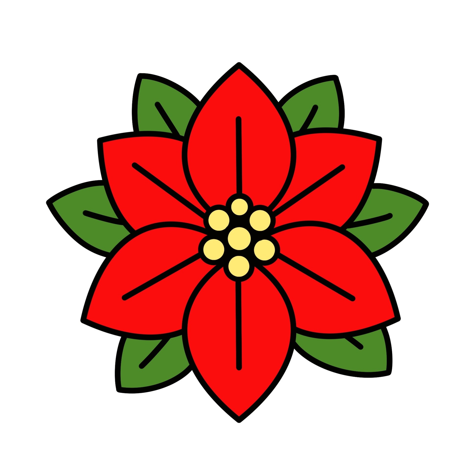 Poinsettia