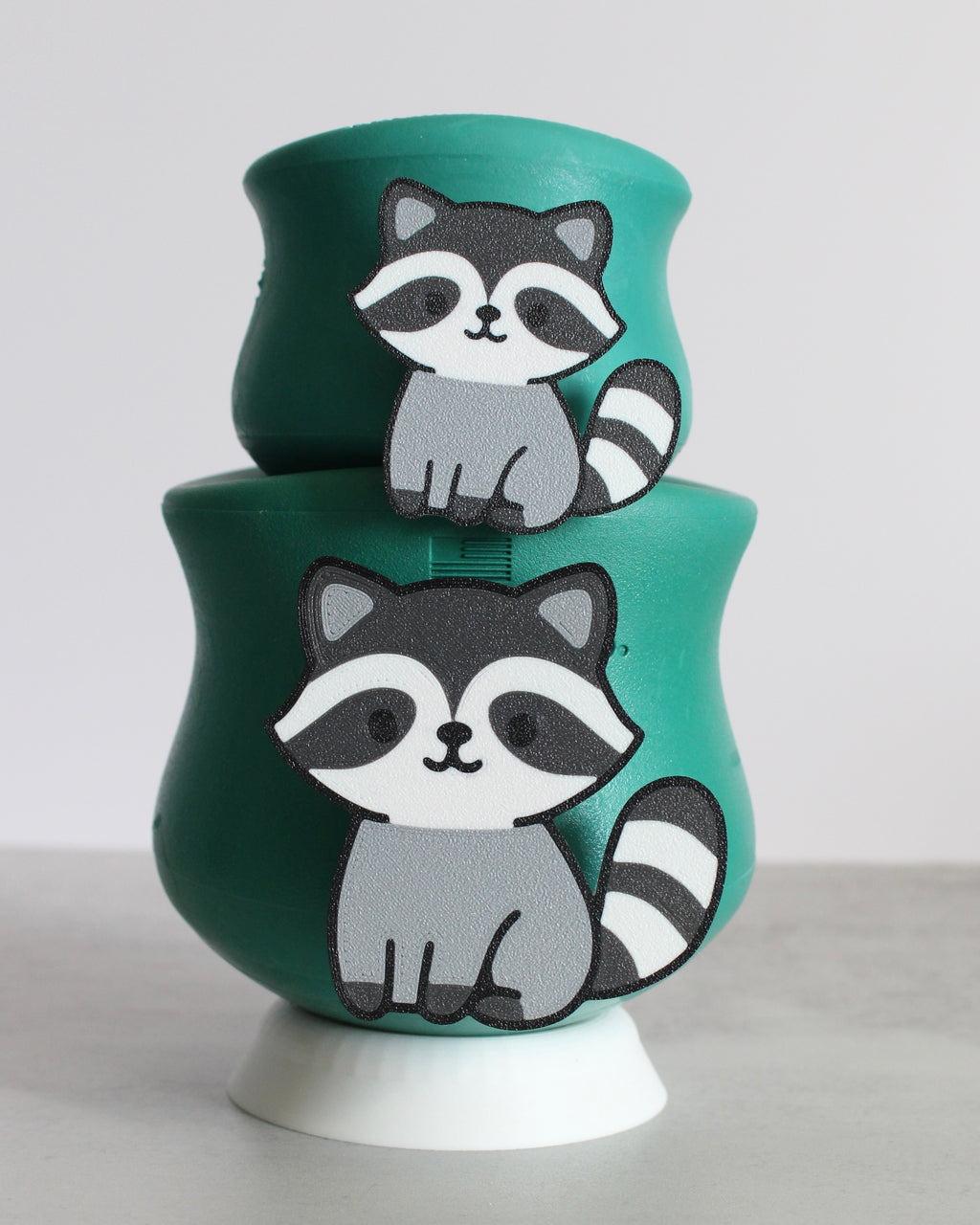 Raccoon