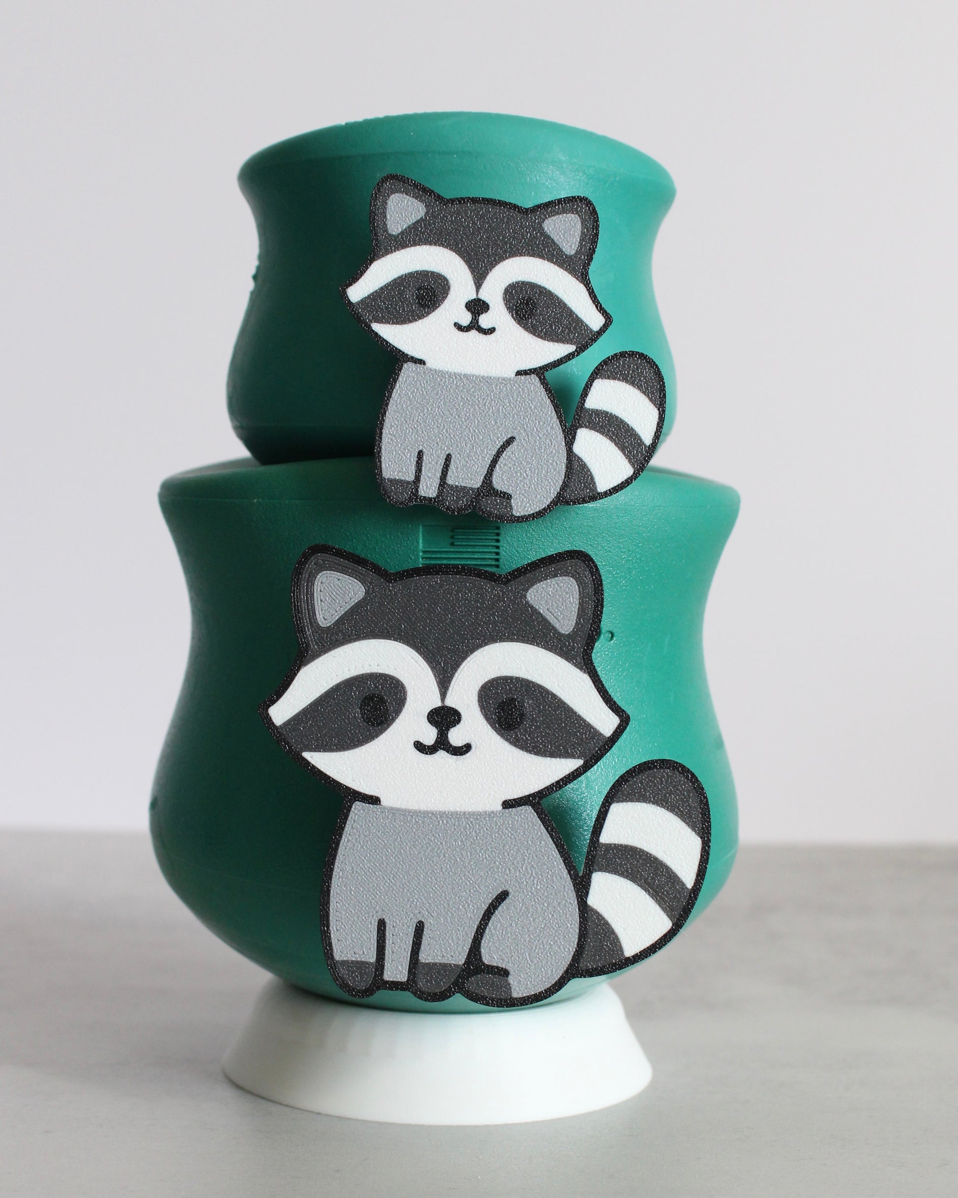 Raccoon