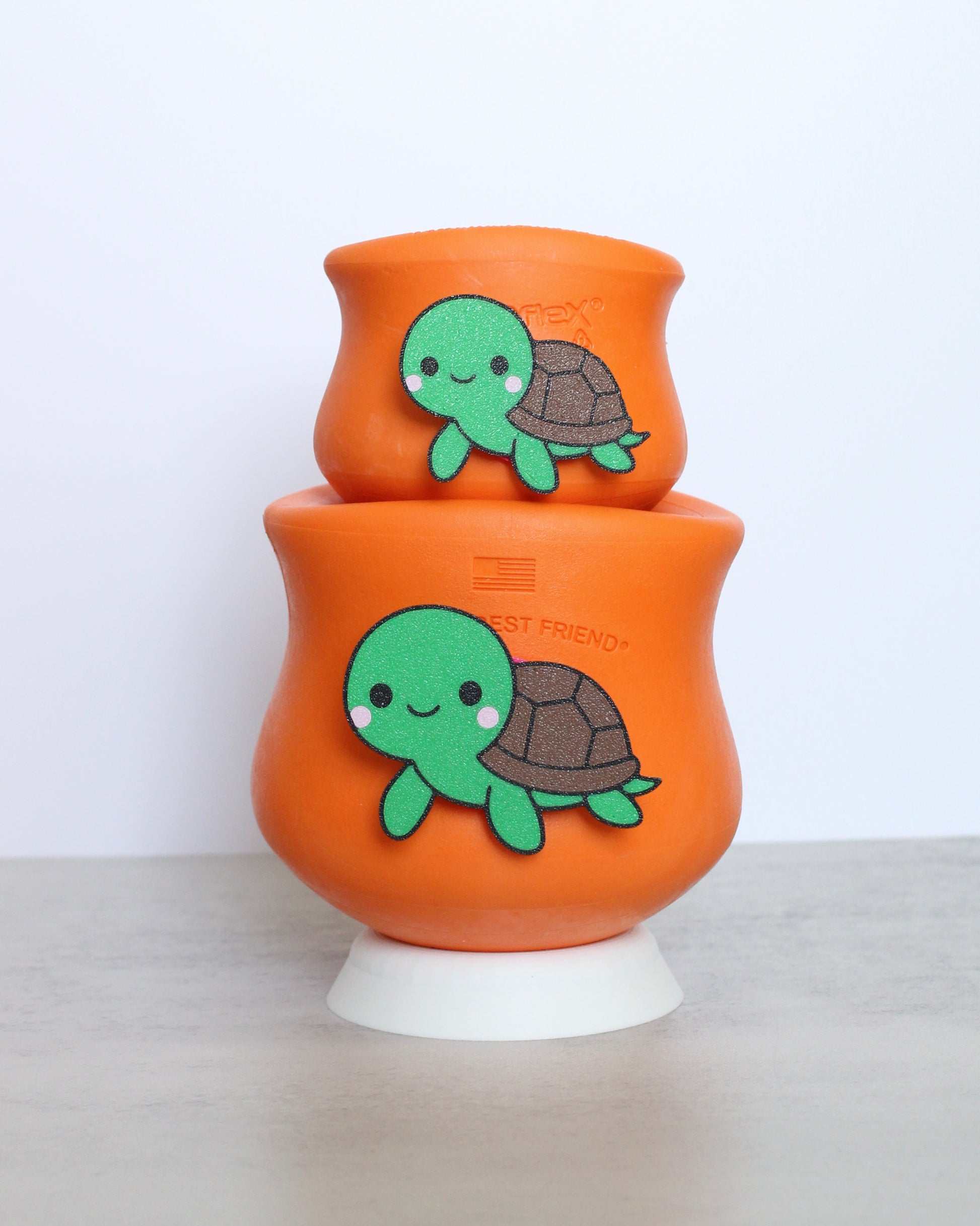 Sea Turtle