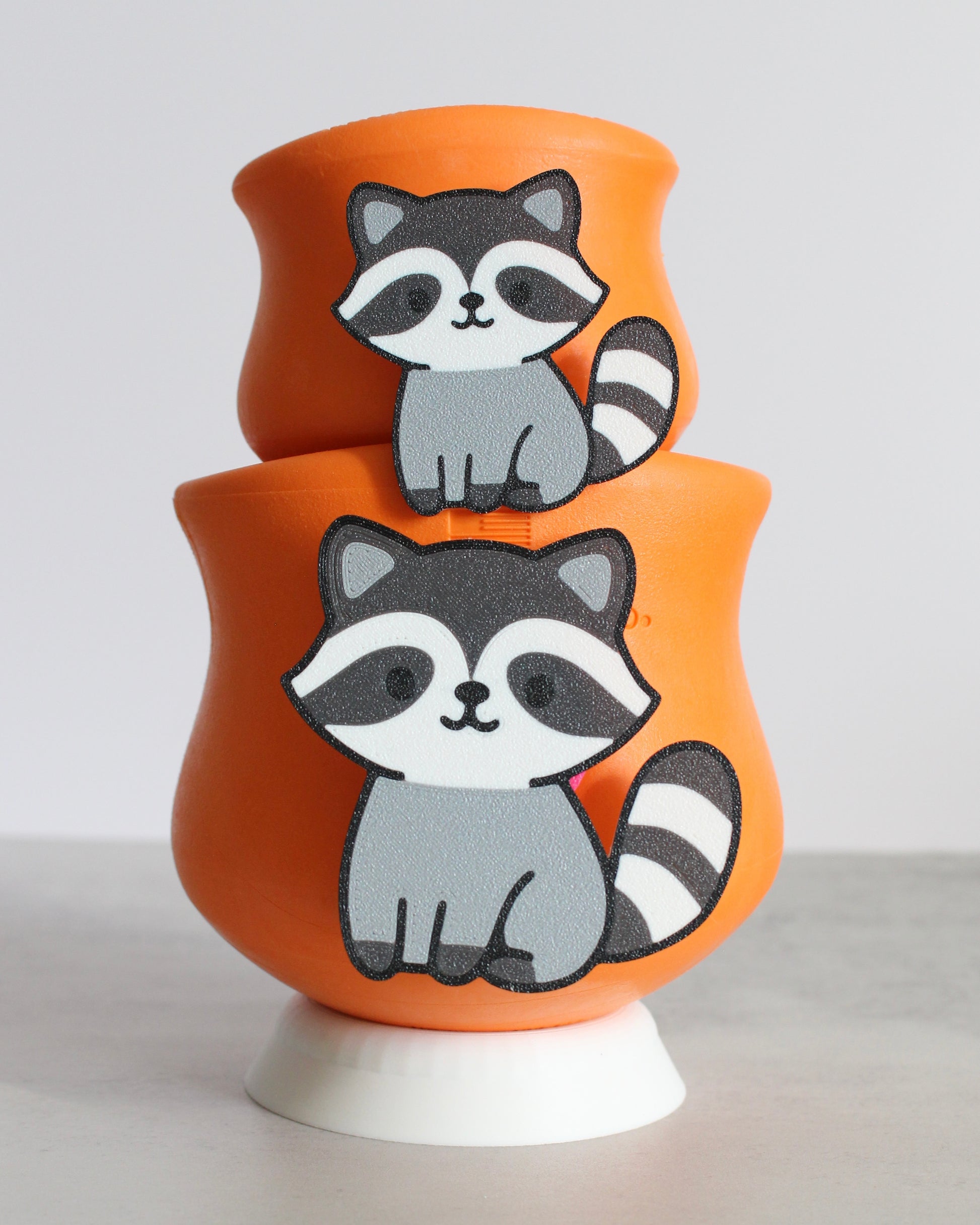 Raccoon