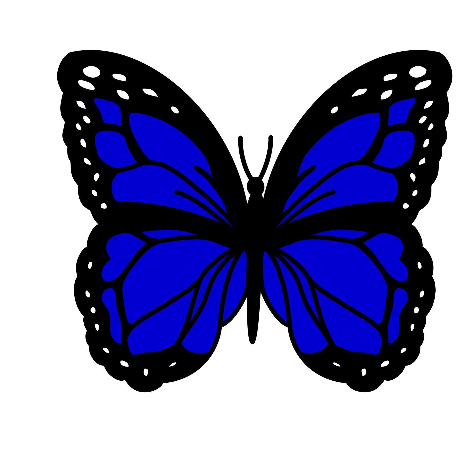Monarch | Blue