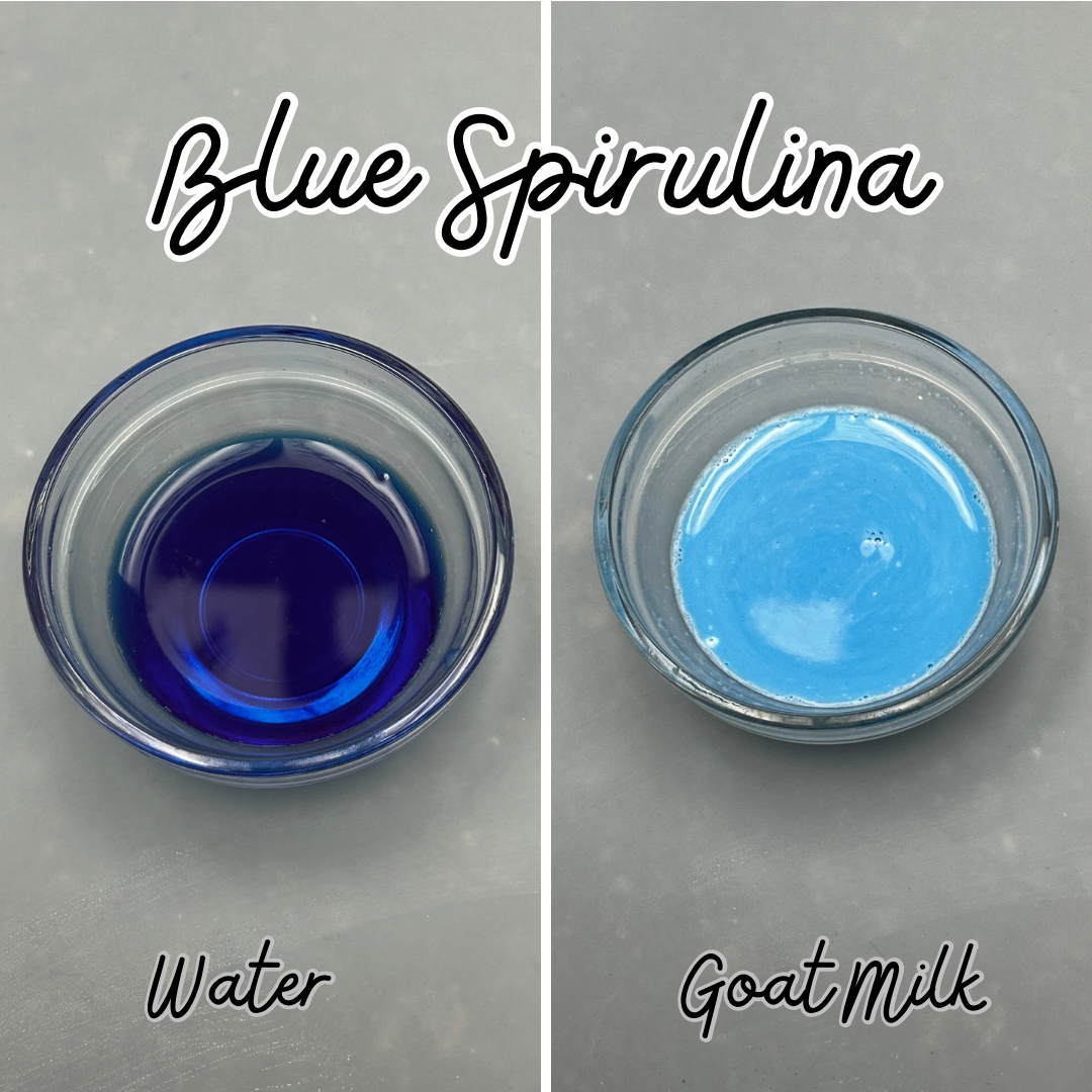 Blue Spirulina Powder