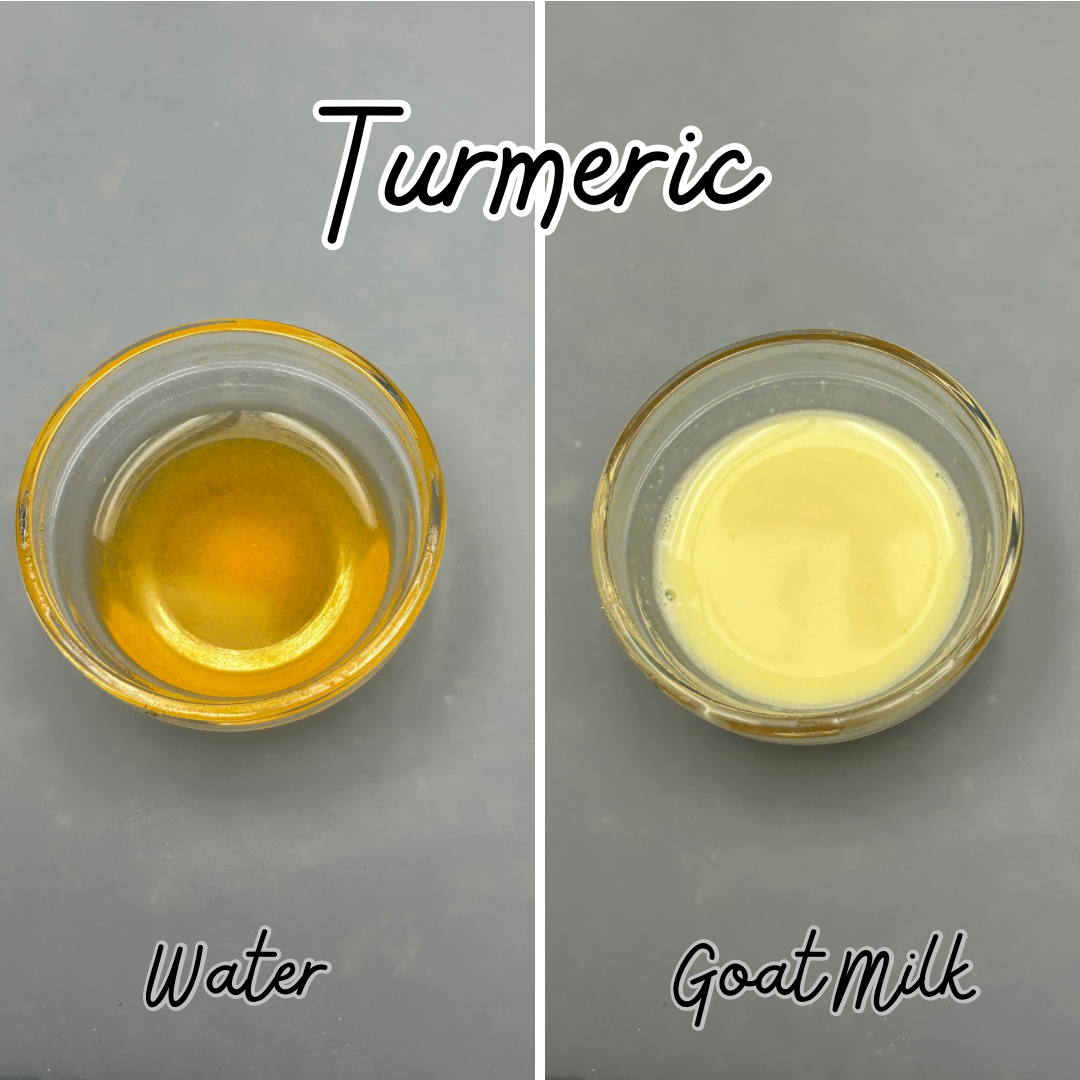 Yellow Turmeric Powder