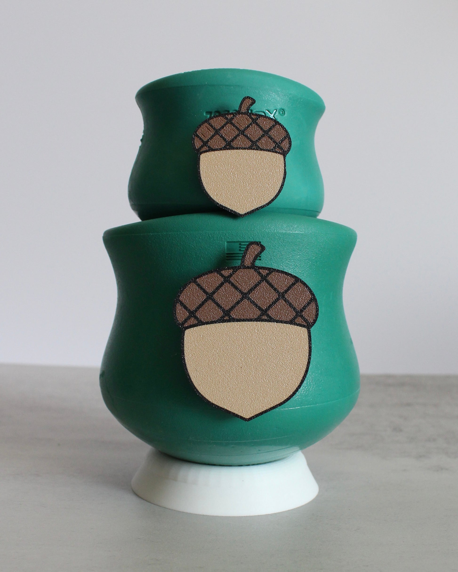 Acorn