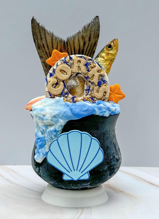 Sea Shell