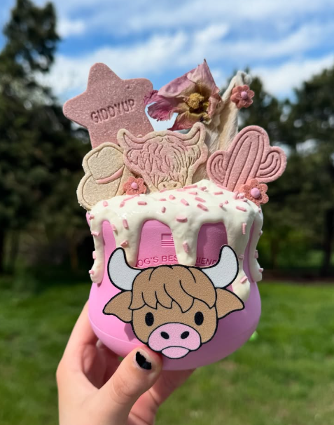 Highland Cow